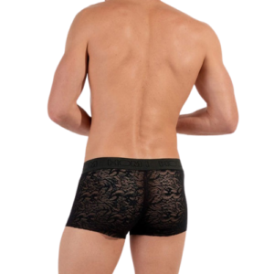 Black HOM Free Cut Lace Trunk